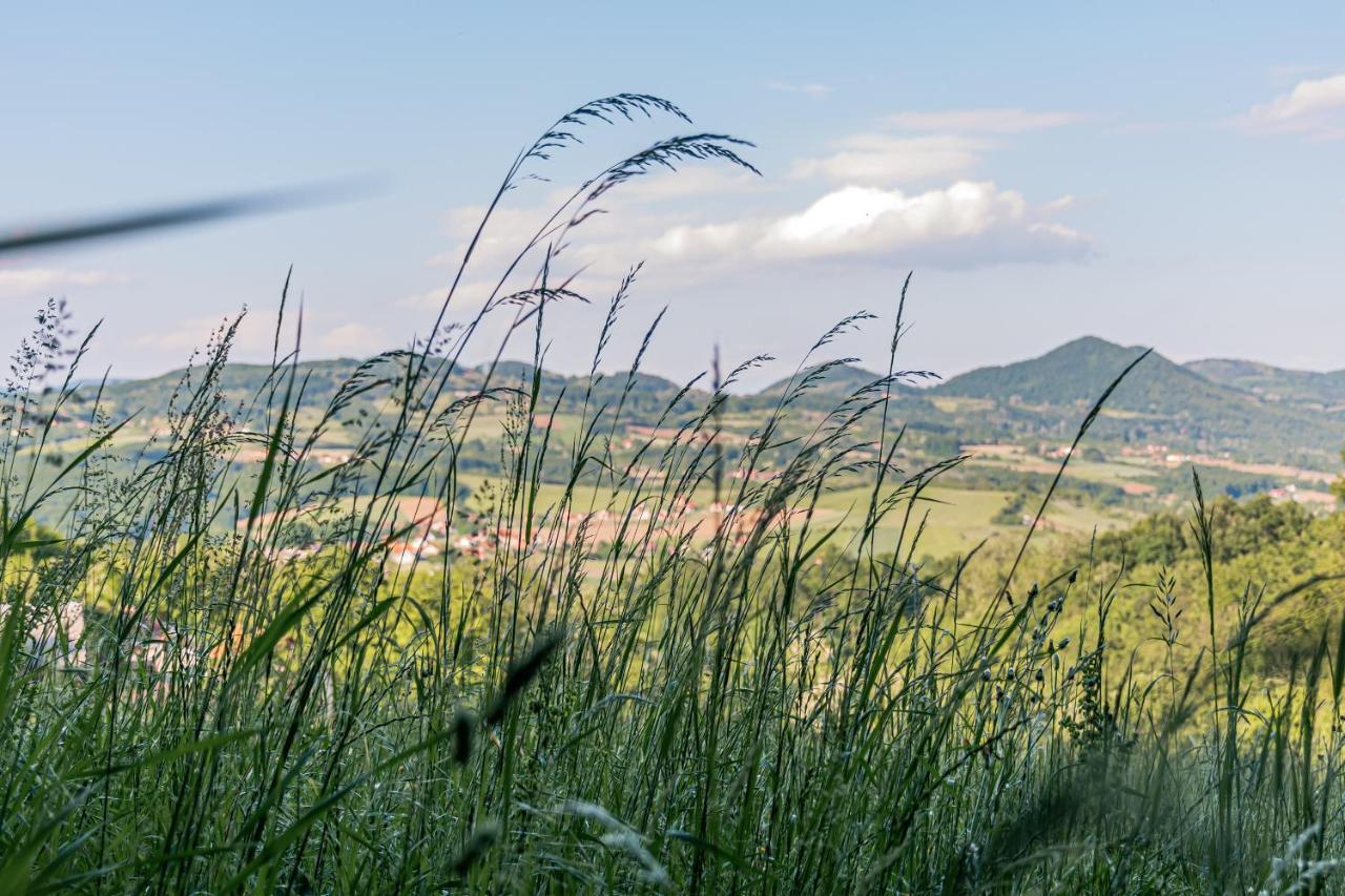 Apartmani Lunija Gornji Milanovac Esterno foto