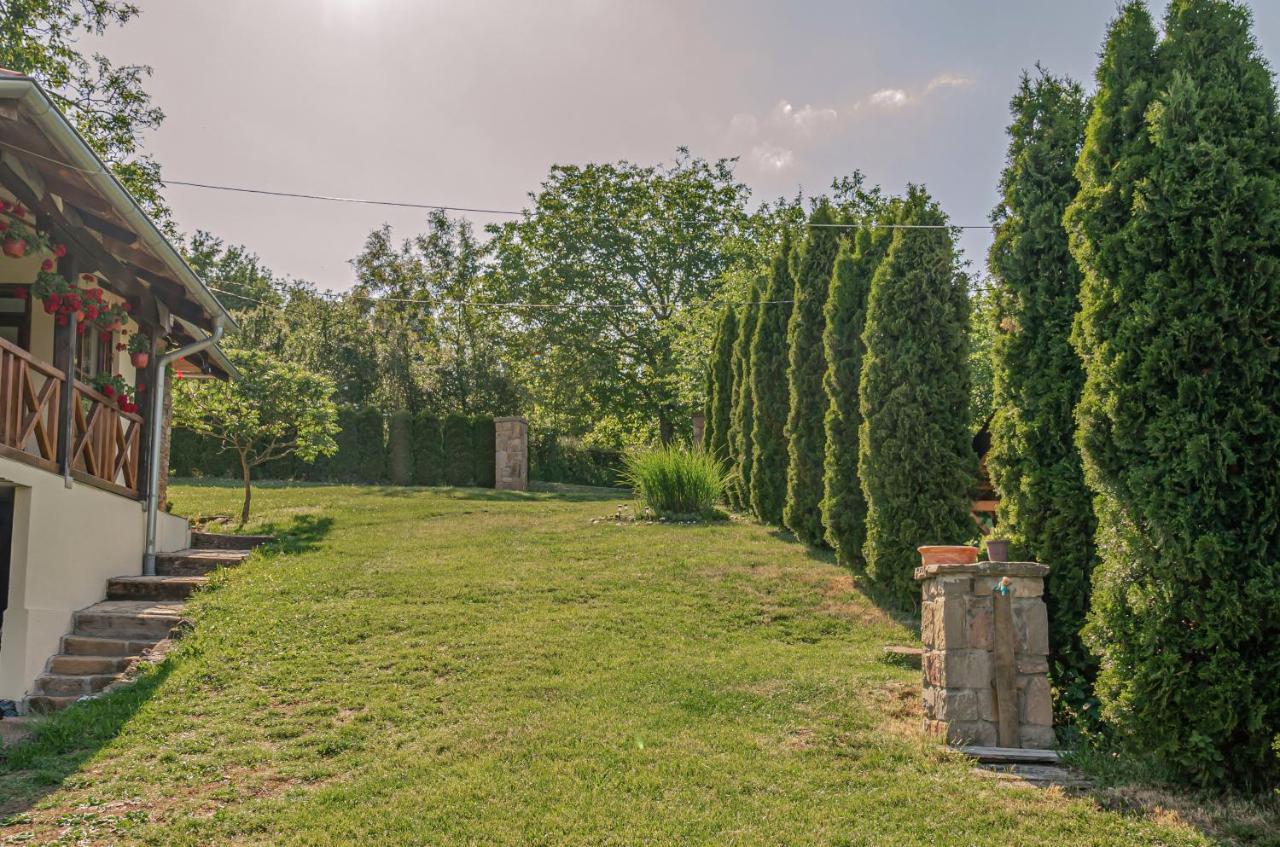 Apartmani Lunija Gornji Milanovac Esterno foto