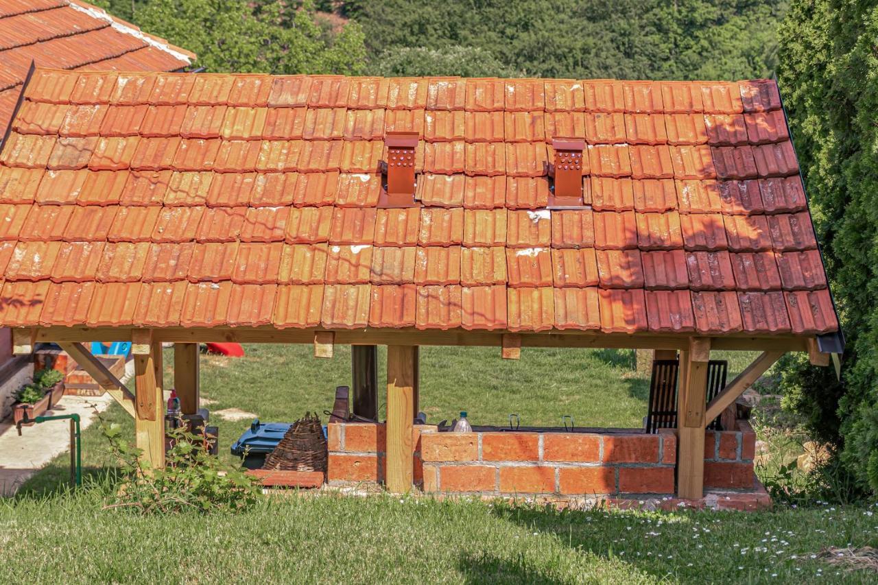 Apartmani Lunija Gornji Milanovac Esterno foto
