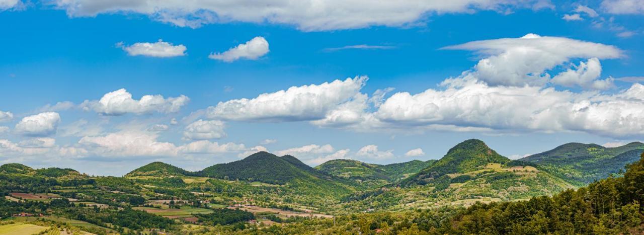 Apartmani Lunija Gornji Milanovac Esterno foto