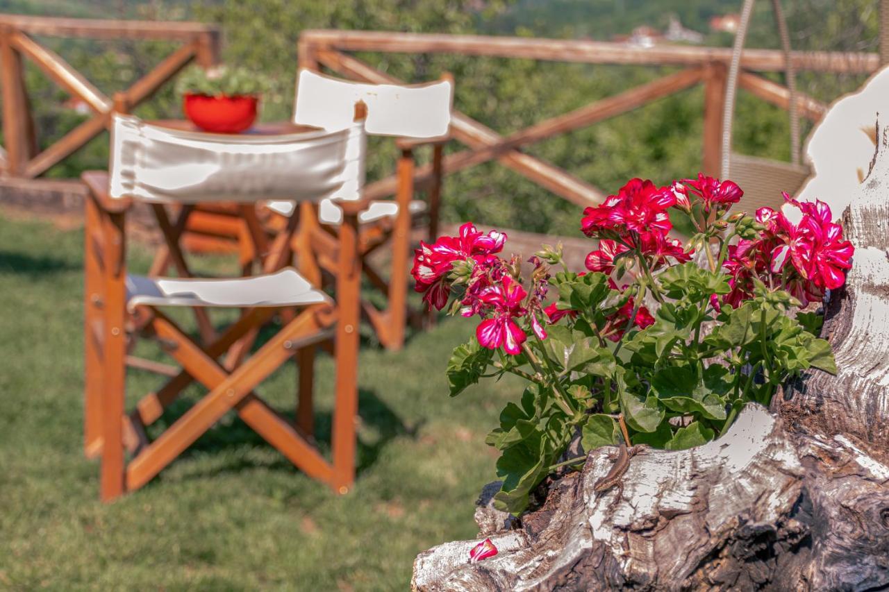 Apartmani Lunija Gornji Milanovac Esterno foto