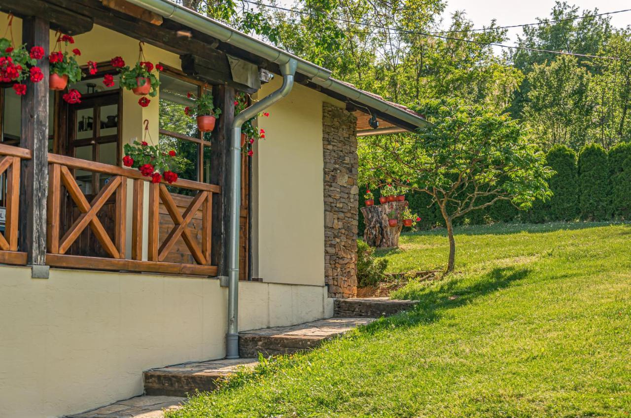 Apartmani Lunija Gornji Milanovac Esterno foto