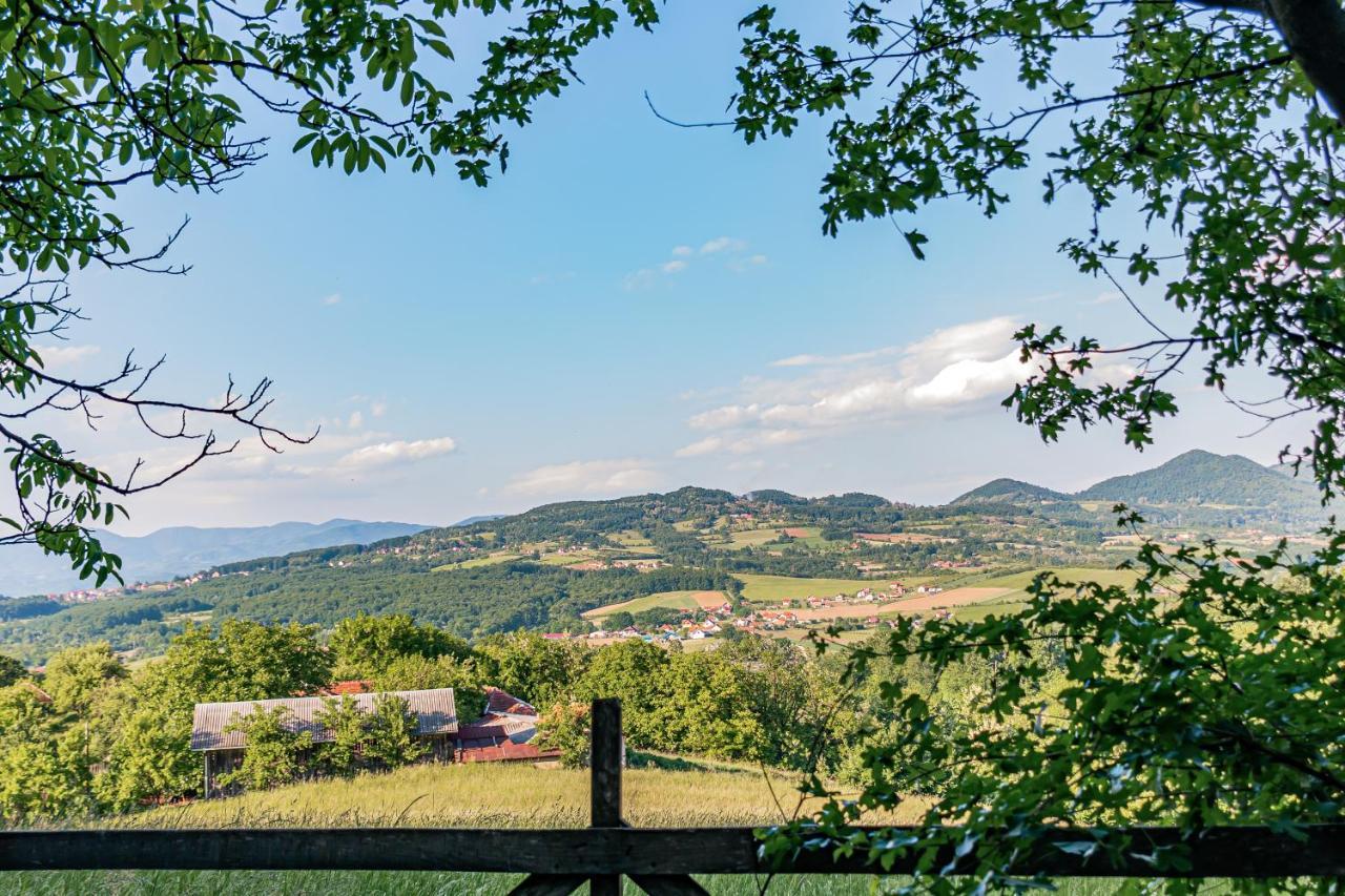 Apartmani Lunija Gornji Milanovac Esterno foto