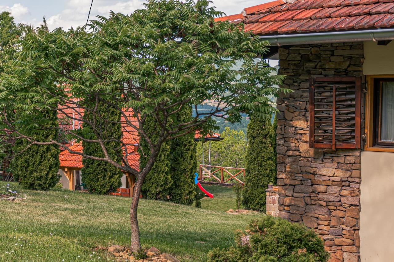 Apartmani Lunija Gornji Milanovac Esterno foto