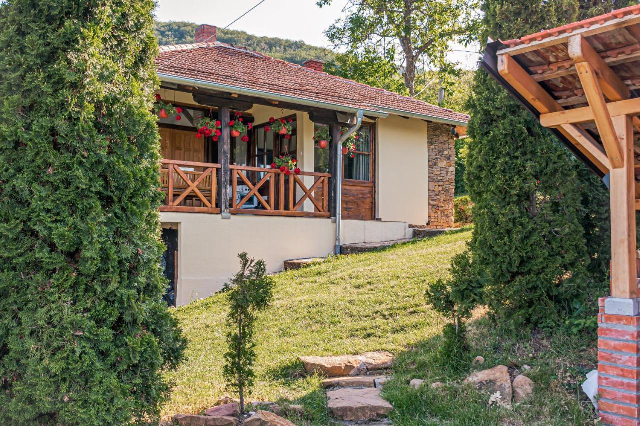 Apartmani Lunija Gornji Milanovac Esterno foto