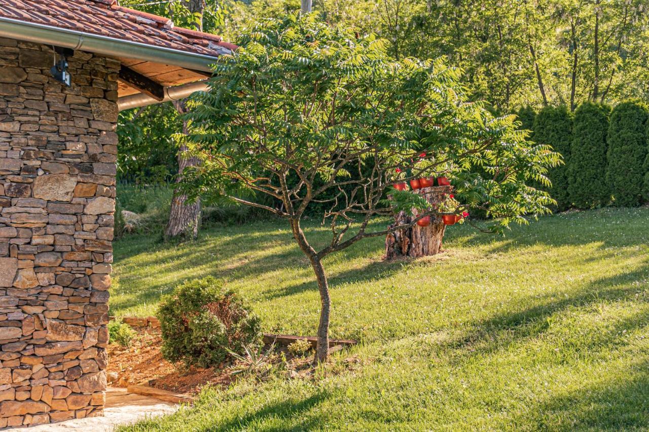 Apartmani Lunija Gornji Milanovac Esterno foto
