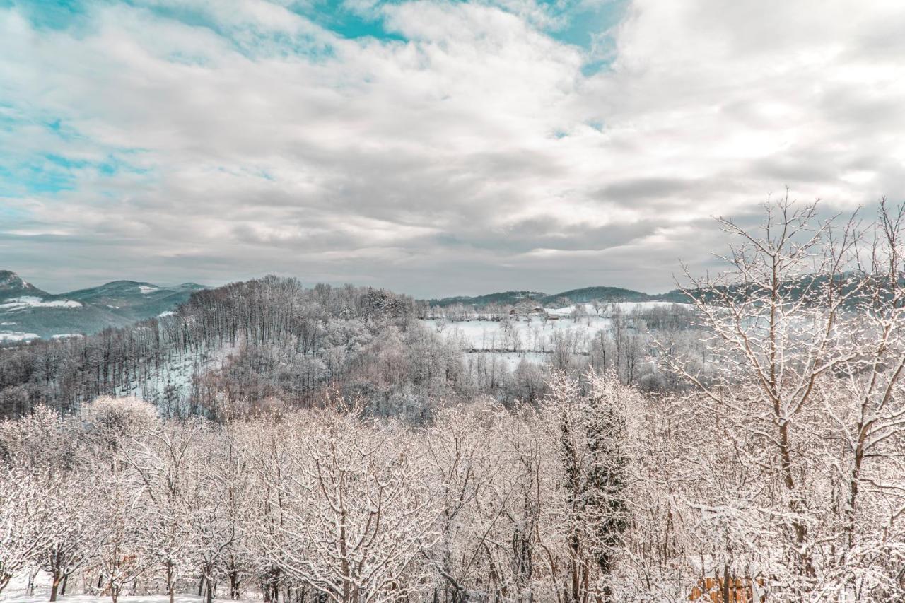 Apartmani Lunija Gornji Milanovac Esterno foto