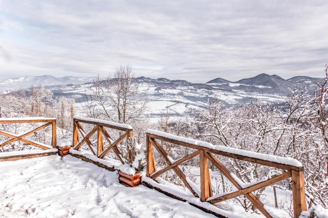 Apartmani Lunija Gornji Milanovac Esterno foto