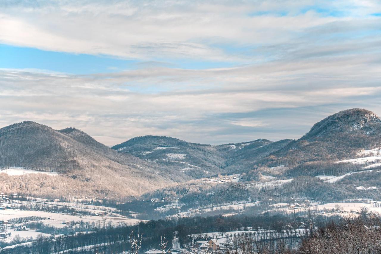 Apartmani Lunija Gornji Milanovac Esterno foto