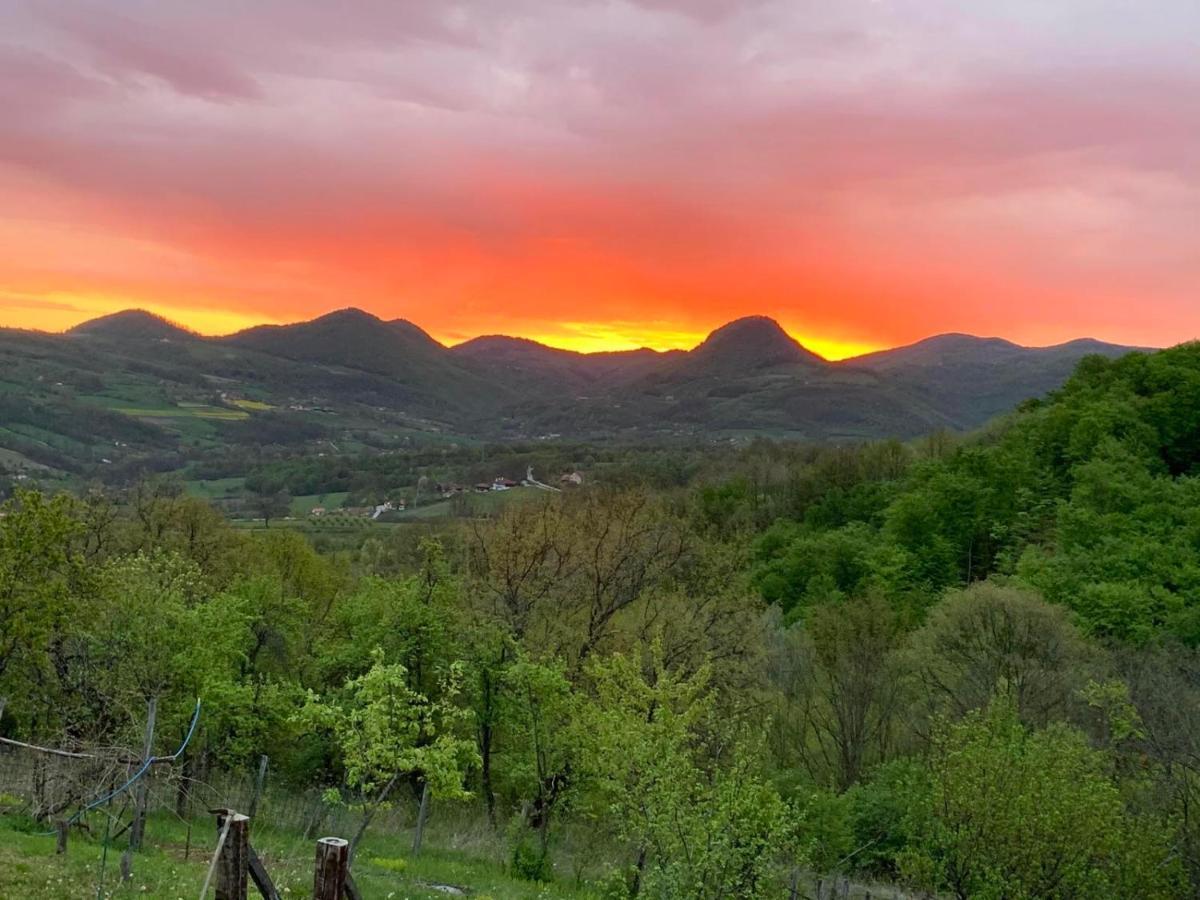 Apartmani Lunija Gornji Milanovac Esterno foto