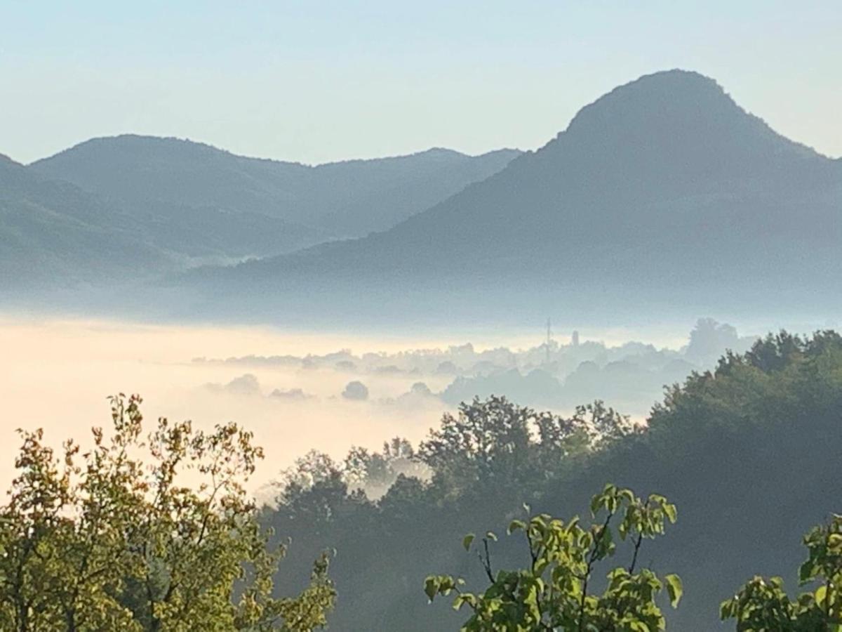 Apartmani Lunija Gornji Milanovac Esterno foto