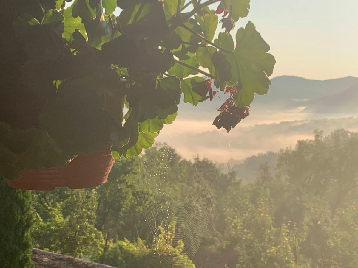 Apartmani Lunija Gornji Milanovac Esterno foto